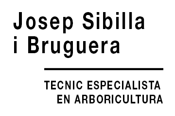Josep Sibilla