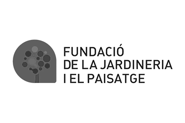 fundacios jp